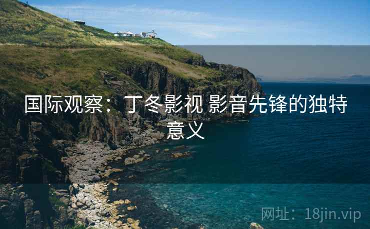 国际观察：丁冬影视 影音先锋的独特意义  第2张